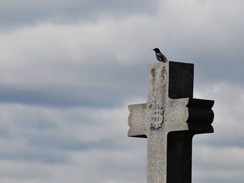 Low angle view of bird perching on cross against sky