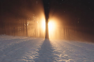 Sunlight streaming through trees on snow covered field during sunrise