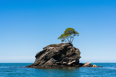 Scenic view of sea against clear blue sky with a rock and a tree