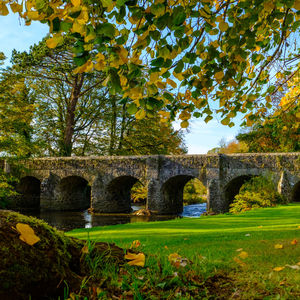 Arch bridge in park against sky