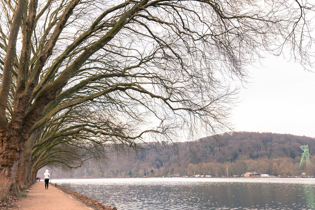 SCENIC VIEW OF LAKE AGAINST BARE TREES