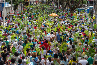 Thousands of catholics are seen participating in the palm sunday procession