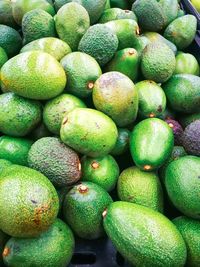 Avocado's for sale at the market. avocado's do contain carotenoids, in and of themselves.