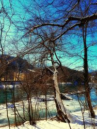 Bare trees by lake against sky during winter