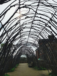 Low angle view of trees by building against sky