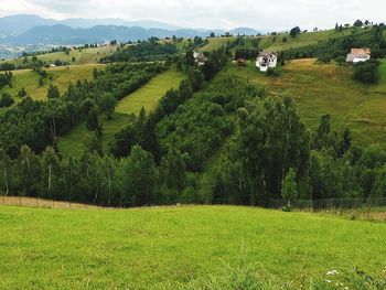 Scenic view of landscape