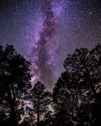 Low angle view of starry sky