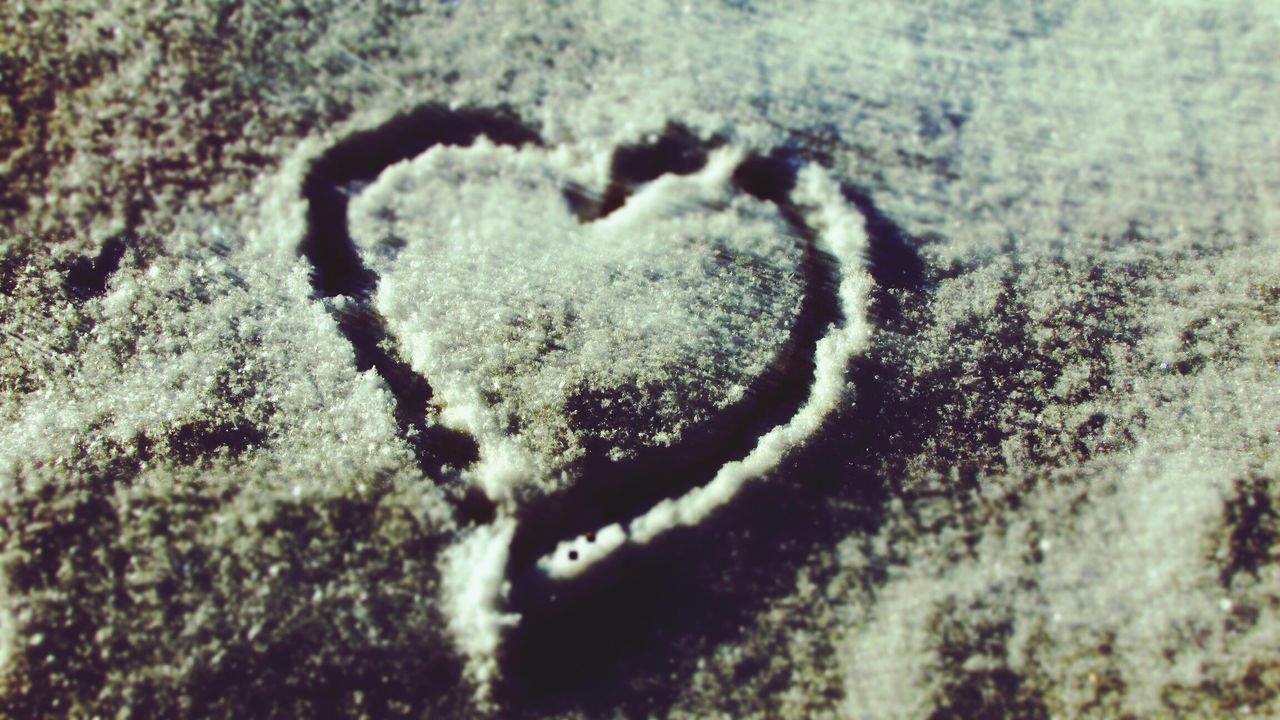 close-up, no people, nature, day, textured, sand, outdoors, beach, winter, beauty in nature, cold temperature, paw print