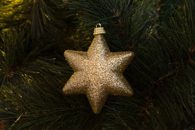 Close-up of christmas tree