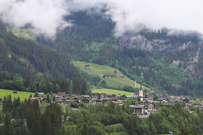 Trees and houses on field against buildings