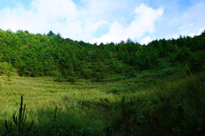 Scenic view of green landscape against sky