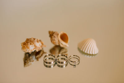 Close-up of shell on table against white background