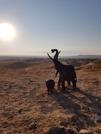 View of a horse on landscape