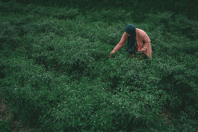 Man working on field