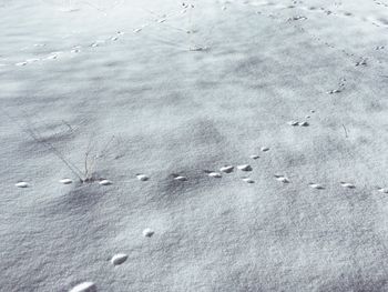 Full frame shot of snow