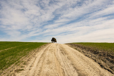 Dirt road amidst field against sky