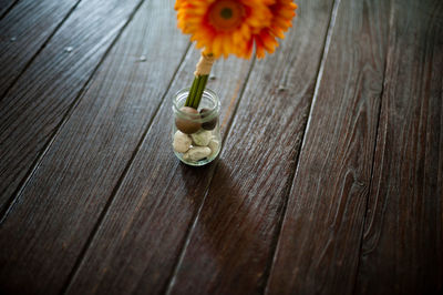 High angle view of orange flower on table