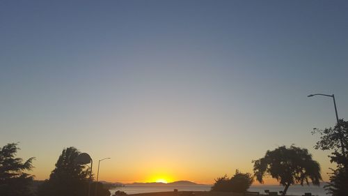 Silhouette trees against clear sky during sunset