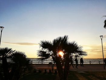Silhouette trees on beach against clear sky