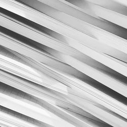 Detail shot of blinds