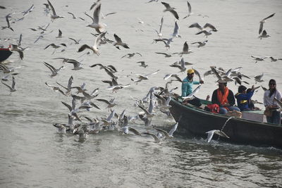 Seagulls flying over sea