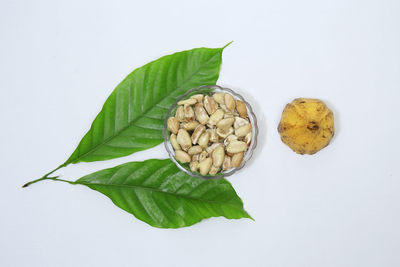 Directly above shot of fresh green leaves against white background