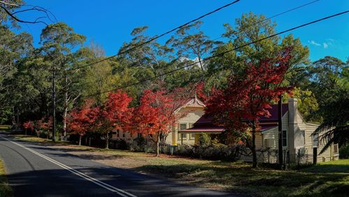 Trees by road by house against sky during autumn