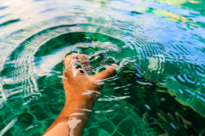 High angle view of person swimming in sea