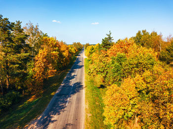 Road amidst trees during autumn against sky