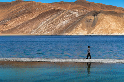 Tourist walk around pangong tso against mountain , leh , india