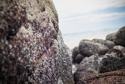Close-up of rock on beach