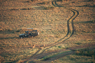 Car parked in field