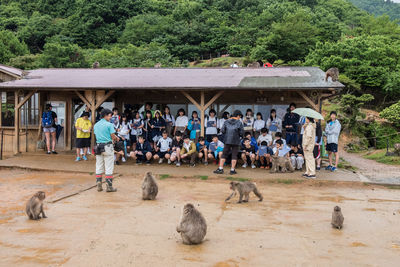 Group of people against plants