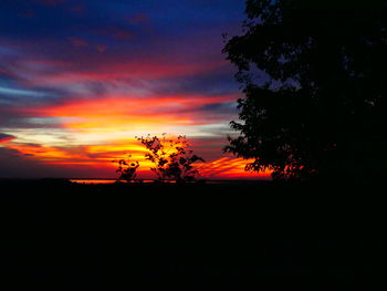 Silhouette trees on landscape against orange sky