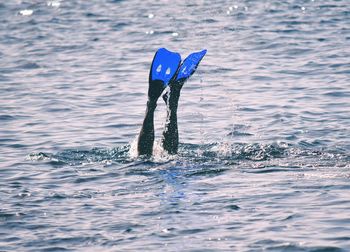 Person swimming in sea