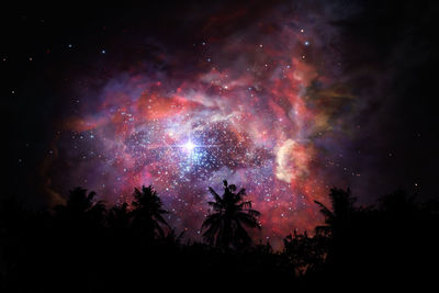 Firework display over silhouette trees against sky at night