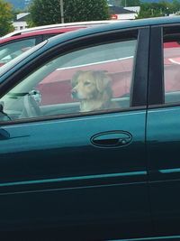 Man sitting in car