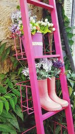 High angle view of potted plants on steps