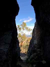 Low angle view of rock formation amidst trees against sky