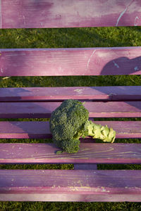 High angle view of broccoli on purple bench