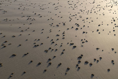 High angle view of beach