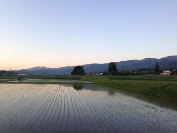 Scenic view of agricultural landscape against clear sky