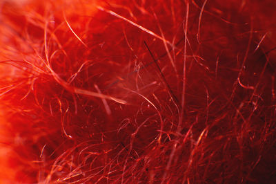 Close-up of red acrylic wool fiber yarn
