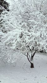 Scenic view of snow covered landscape