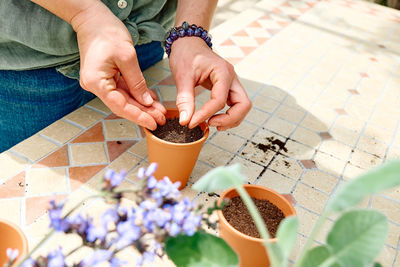 Woman sowing medicinal or aromatic herbs in clay pot on balcony. home planting and food growing. 