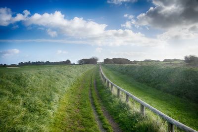 Scenic view of landscape against sky