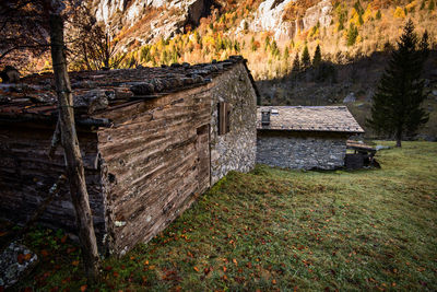 Wooden hut on field in forest