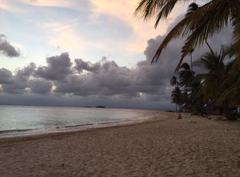 Scenic view of beach against sky during sunset