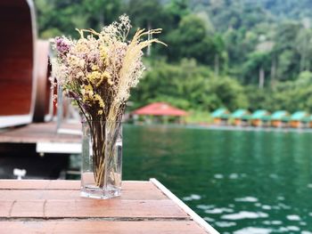 Close-up of plant on table by lake