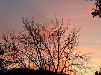 Silhouette tree against sky during sunset